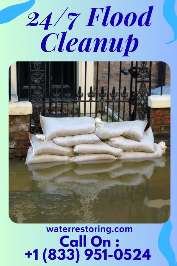 24/7 Flood Cleanup in Goodman, MS