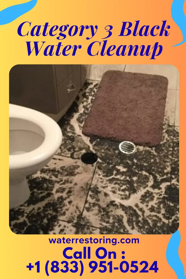 Category 3 Black Water Cleanup in Goodman, MS