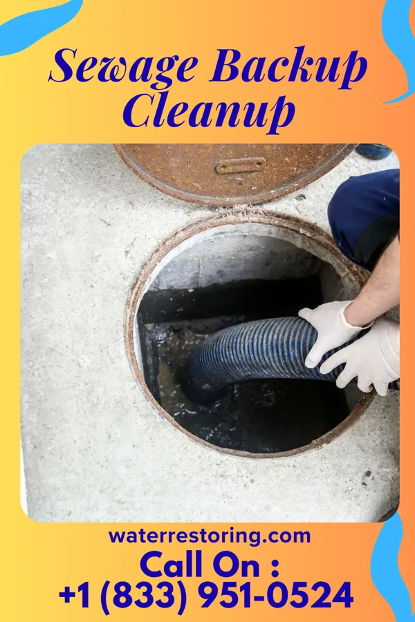 Sewage Backup Cleanup in Goodman, MS
